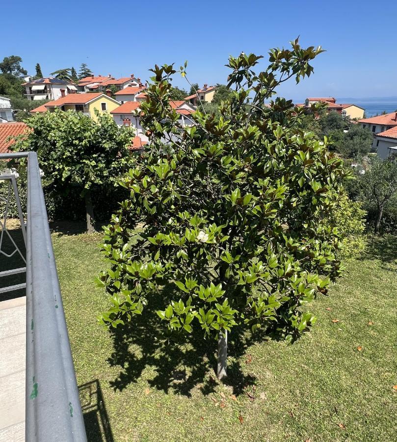 Magnolia Apartments Izola Bagian luar foto